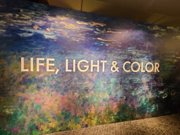 モネ＆フレンズ・アライブに投稿された画像（2024/9/22）