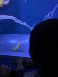 すみだ水族館に投稿された画像（2024/9/22）