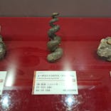 岐阜県博物館に投稿された画像（2024/9/22）