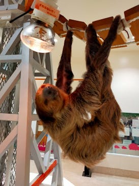 アニタッチららぽーと名古屋みなとアクルスに投稿された画像（2024/9/22）