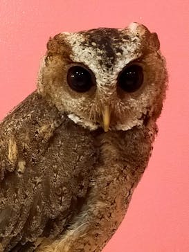 アニタッチららぽーと名古屋みなとアクルスに投稿された画像（2024/9/22）