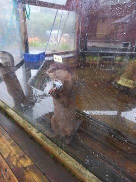 那須ハイランドパークに投稿された画像（2024/9/22）