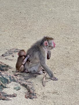 大分マリーンパレス水族館 「うみたまご」に投稿された画像（2024/9/22）