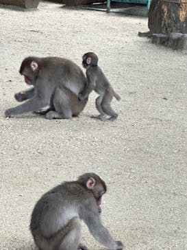 大分マリーンパレス水族館 「うみたまご」に投稿された画像（2024/9/22）
