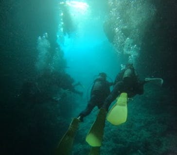 沖縄マリンサービス碧に投稿された画像（2024/9/22）