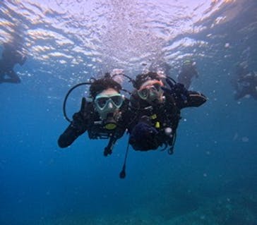 沖縄マリンサービス碧に投稿された画像（2024/9/22）