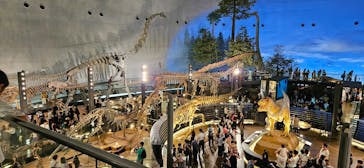 福井県立恐竜博物館に投稿された画像（2024/9/22）