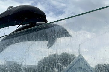 しながわ水族館に投稿された画像（2024/9/22）