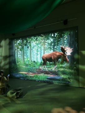 ずかんミュージアム新潟（新潟県民会館）に投稿された画像（2024/9/22）