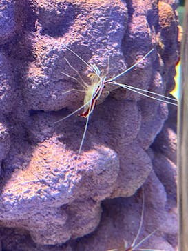 NIFREL（ニフレル）に投稿された画像（2024/9/22）