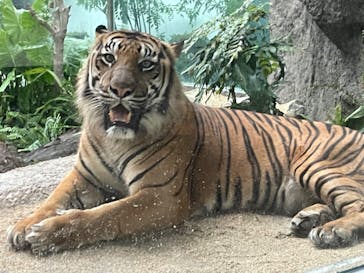 神戸どうぶつ王国に投稿された画像（2024/9/22）