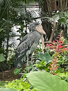 神戸どうぶつ王国に投稿された画像（2024/9/22）