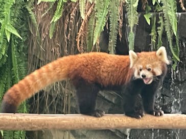 神戸どうぶつ王国に投稿された画像（2024/9/22）