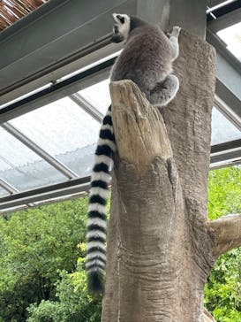 神戸どうぶつ王国に投稿された画像（2024/9/22）