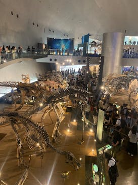 福井県立恐竜博物館に投稿された画像（2024/9/22）