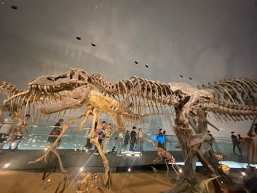 福井県立恐竜博物館に投稿された画像（2024/9/22）