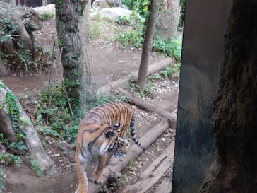 恩賜上野動物園に投稿された画像（2024/9/22）