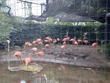 恩賜上野動物園に投稿された画像（2024/9/22）