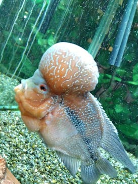 アクアテラス錦ケ丘に投稿された画像（2024/9/22）