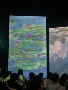 モネ＆フレンズ・アライブに投稿された画像（2024/9/22）