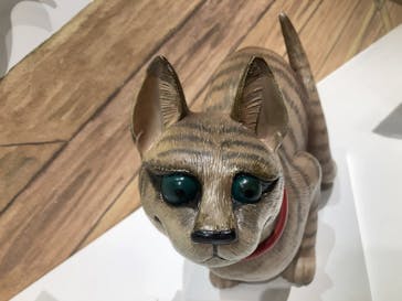 滋賀県立琵琶湖博物館に投稿された画像（2024/9/22）