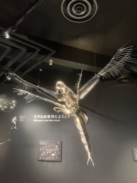 滋賀県立琵琶湖博物館に投稿された画像（2024/9/22）