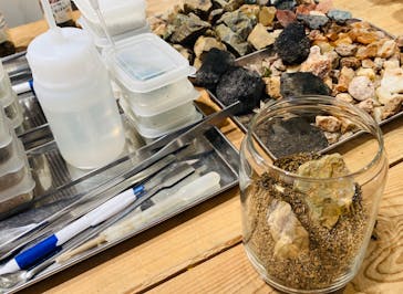 Terrariums 吉祥寺に投稿された画像（2024/9/22）