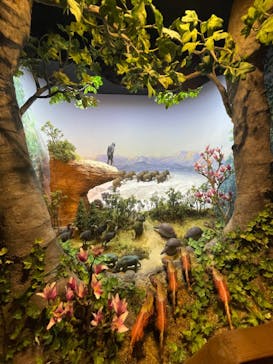 海洋堂ホビーランドに投稿された画像（2024/9/22）