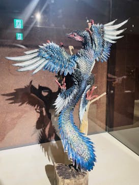 海洋堂ホビーランドに投稿された画像（2024/9/22）