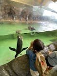 しながわ水族館に投稿された画像（2024/9/22）