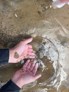 西表島 ADVENTURE PiPi（アドベンチャーピピ）に投稿された画像（2024/9/22）