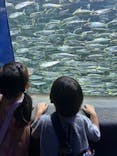 サンシャイン水族館に投稿された画像（2024/9/22）