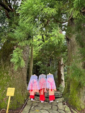 大門坂茶屋に投稿された画像（2024/9/22）