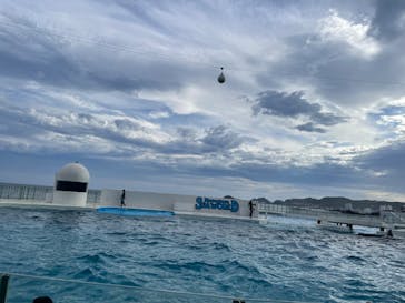 鴨川シーワールドに投稿された画像（2024/9/22）