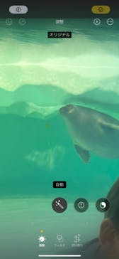 滋賀県立琵琶湖博物館に投稿された画像（2024/9/22）