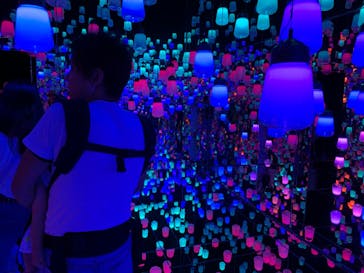 うんこミュージアム TOKYOに投稿された画像（2024/9/22）