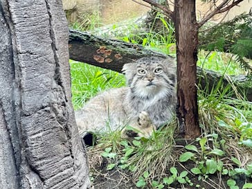 那須どうぶつ王国に投稿された画像（2024/9/22）