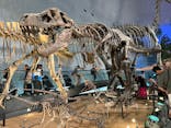 福井県立恐竜博物館に投稿された画像（2024/9/22）