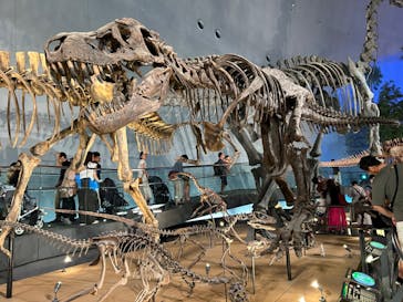 福井県立恐竜博物館に投稿された画像（2024/9/22）