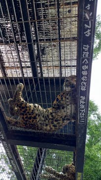 群馬サファリパークに投稿された画像（2024/9/22）