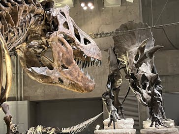 国立科学博物館に投稿された画像（2024/9/22）