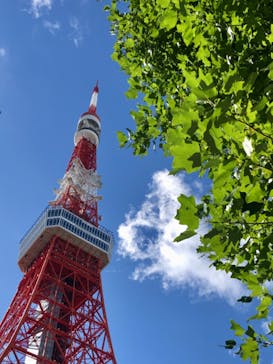 東京タワーに投稿された画像（2024/9/22）