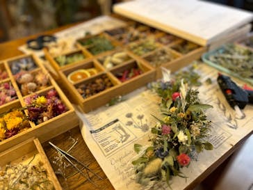 une graine（アングレンヌ）に投稿された画像（2024/9/22）