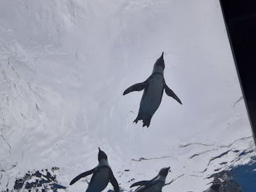 サンシャイン水族館に投稿された画像（2024/9/22）