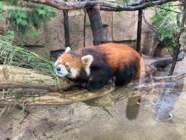 那須どうぶつ王国に投稿された画像（2024/9/22）