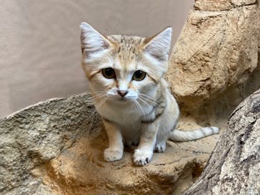 那須どうぶつ王国に投稿された画像（2024/9/22）