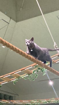 那須どうぶつ王国に投稿された画像（2024/9/22）