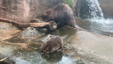 那須どうぶつ王国に投稿された画像（2024/9/22）
