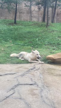 那須どうぶつ王国に投稿された画像（2024/9/22）