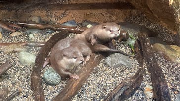 那須どうぶつ王国に投稿された画像（2024/9/22）